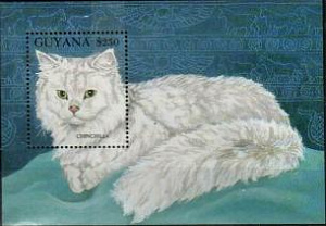 Гайана, 1992, Кошки породы Шиншилла, блок